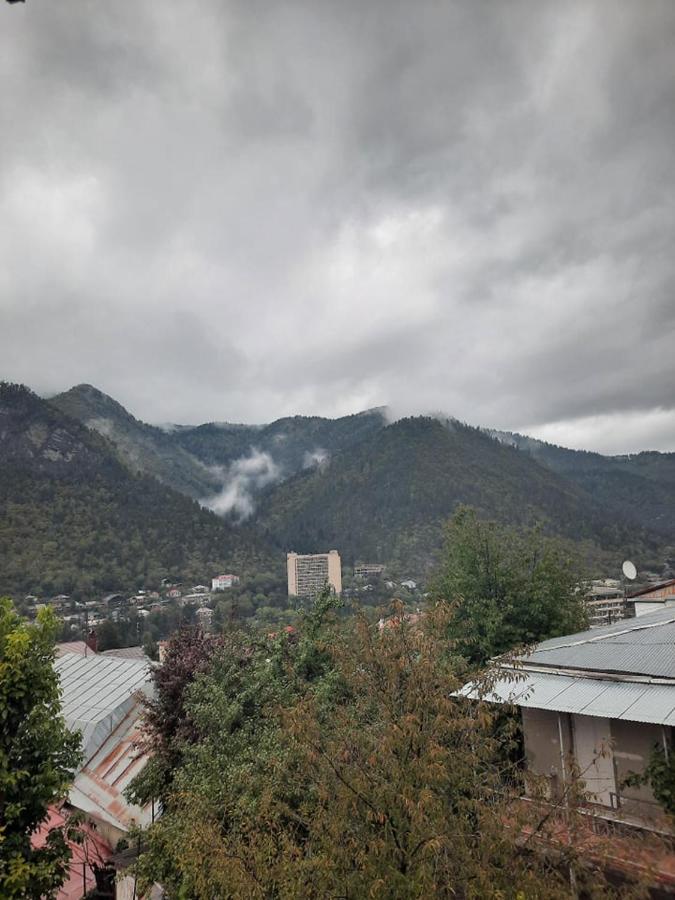 Guest House Bochora Borjomi Luaran gambar