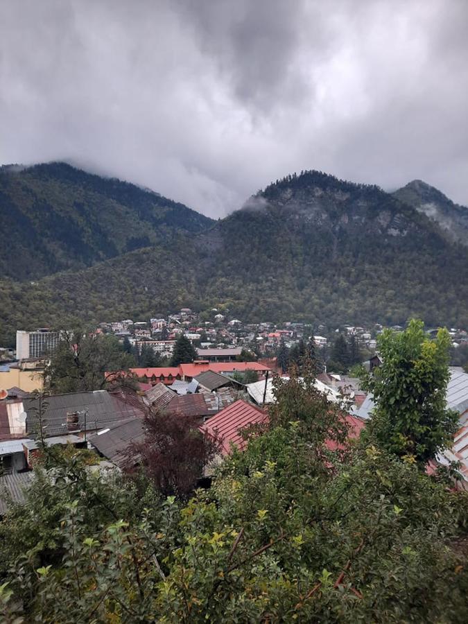 Guest House Bochora Borjomi Luaran gambar