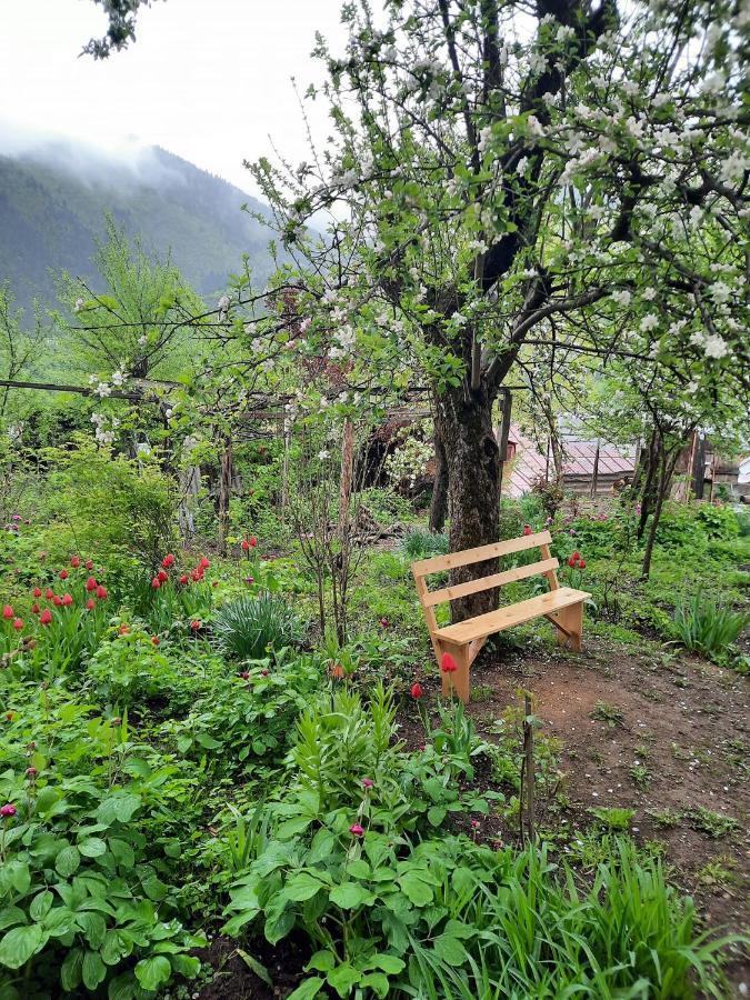 Guest House Bochora Borjomi Luaran gambar