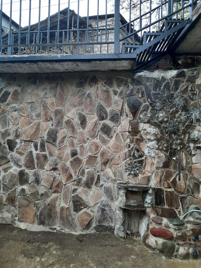 Guest House Bochora Borjomi Luaran gambar