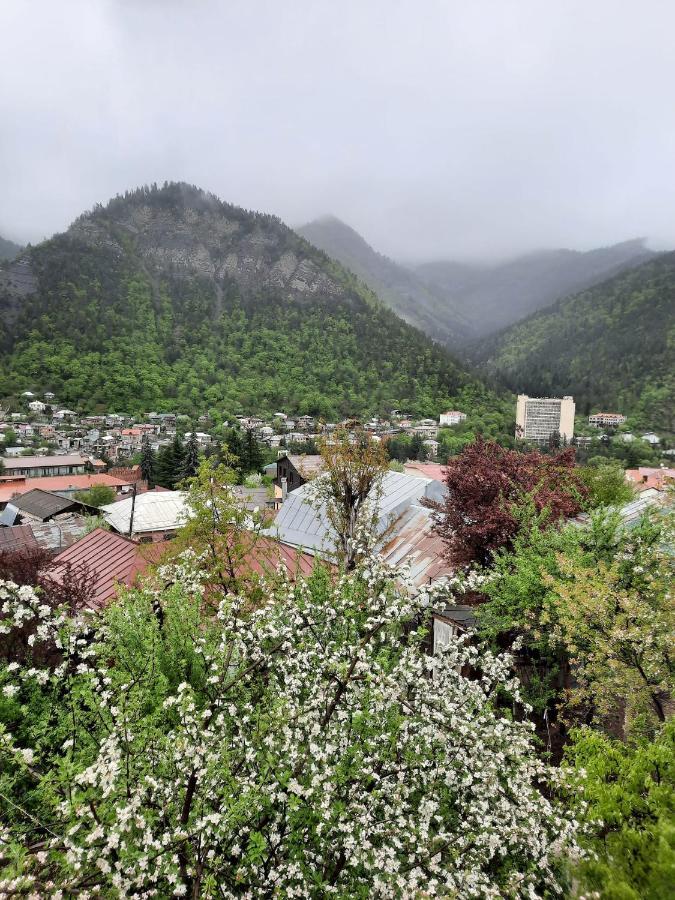 Guest House Bochora Borjomi Luaran gambar