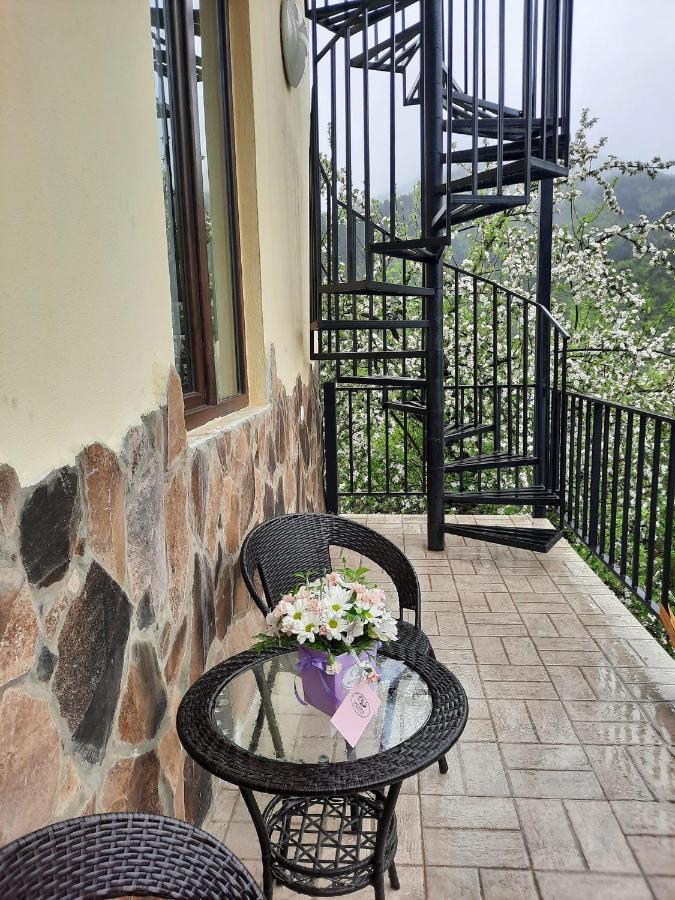 Guest House Bochora Borjomi Luaran gambar