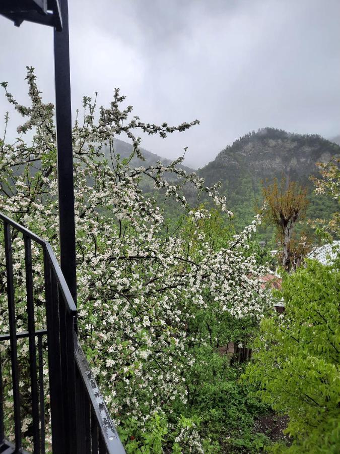 Guest House Bochora Borjomi Luaran gambar