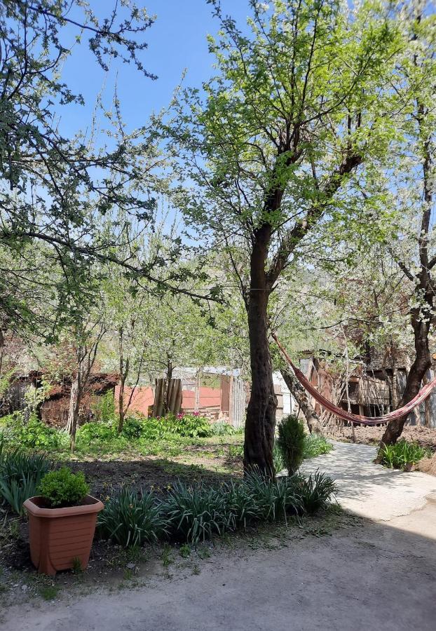Guest House Bochora Borjomi Luaran gambar