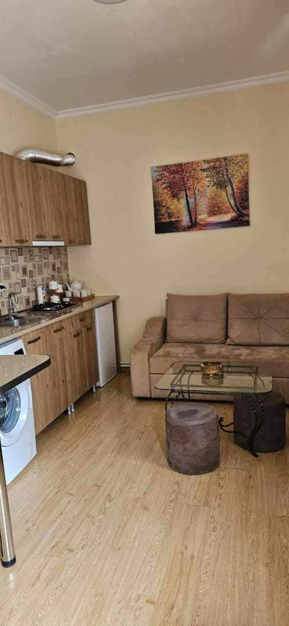 Guest House Bochora Borjomi Luaran gambar
